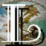 Logo Galleria